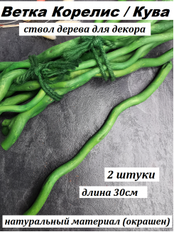 Ветка Корелис/Кува, 30см (зеленый), 2штуки